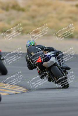 media/Jan-14-2023-SoCal Trackdays (Sat) [[497694156f]]/Turn 12 Backside (1010am)/